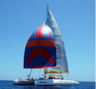  Promenade en catamaran